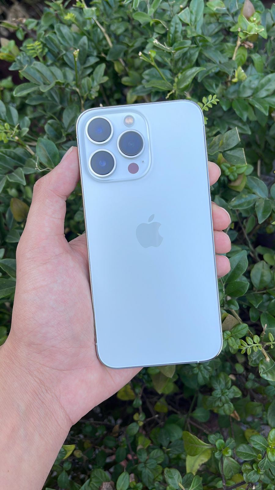 MONTH END SPECIAL : IPHONE 13 PRO 256GB ASSORTED COLOURS (CPO)
